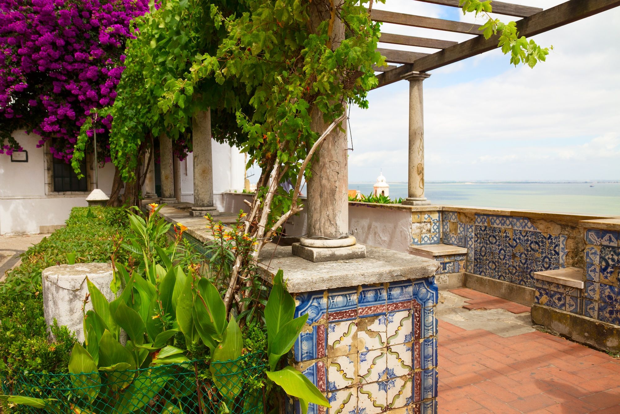 Repairs-Pergola